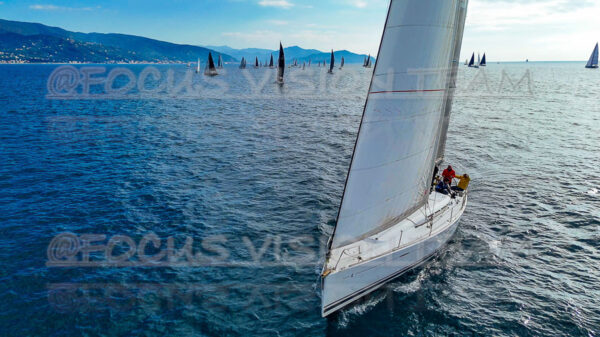 Alegher Do - ITA16245 (011)